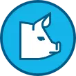 Icon of a pig on top of light blue background.